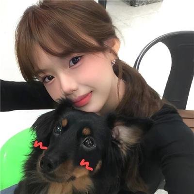 摇滚藏獒蓝色光芒